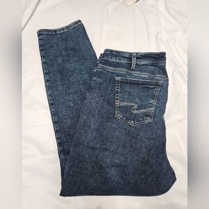 Silver Jeans Co. Plus Size Elyse Straight Leg Jeans!